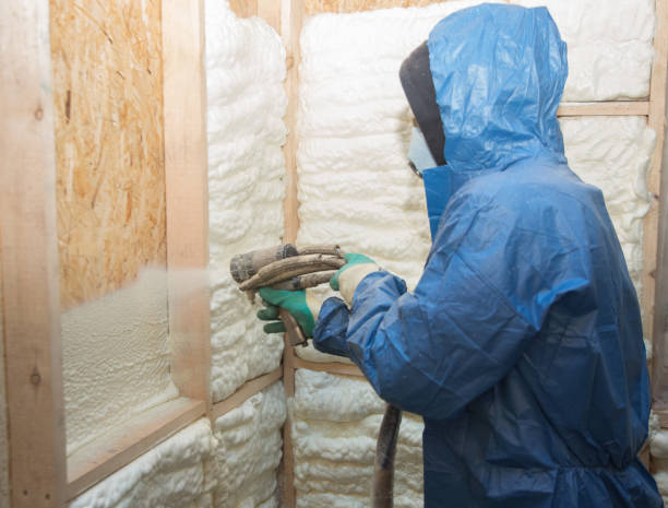 Best Wall Insulation Installation  in , NC